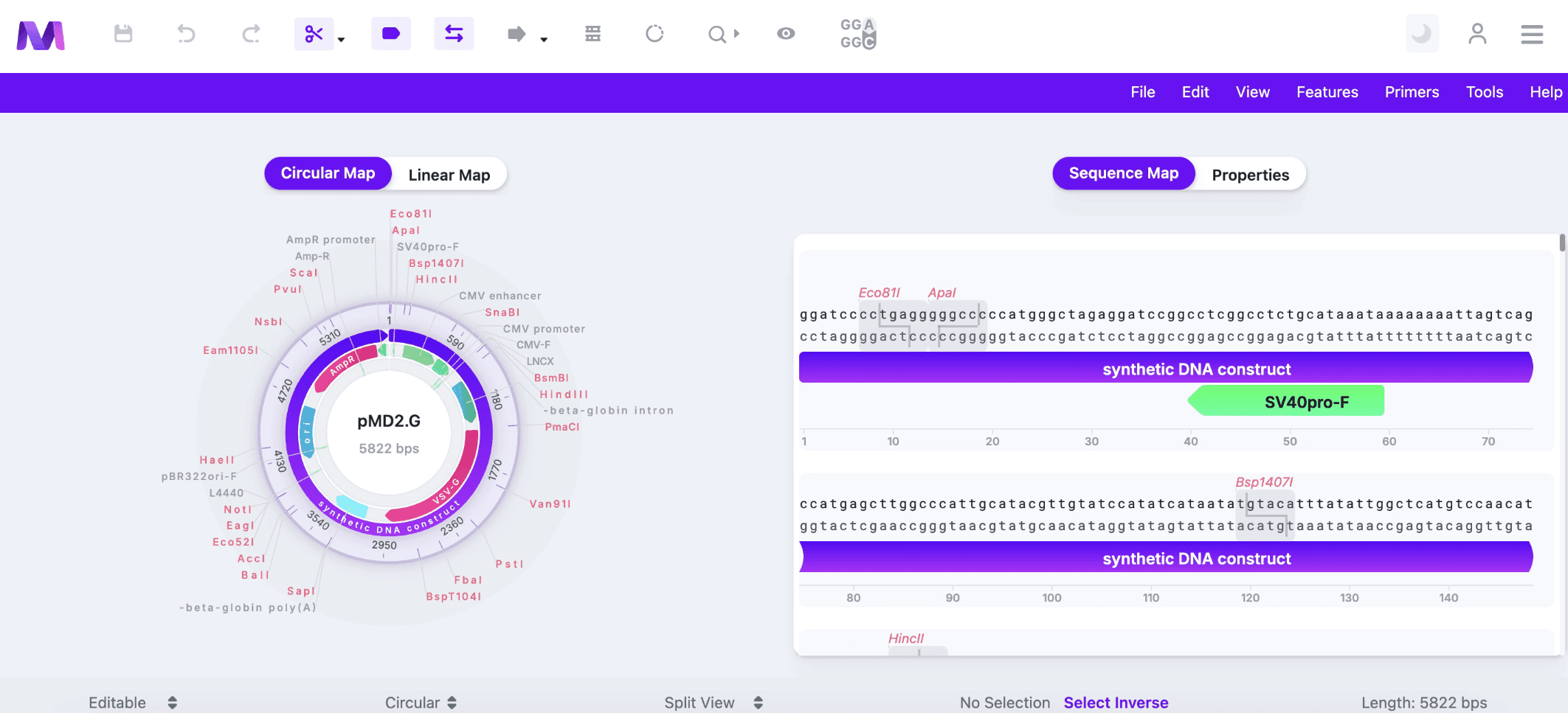 Plasmid Design and Cloning Platform